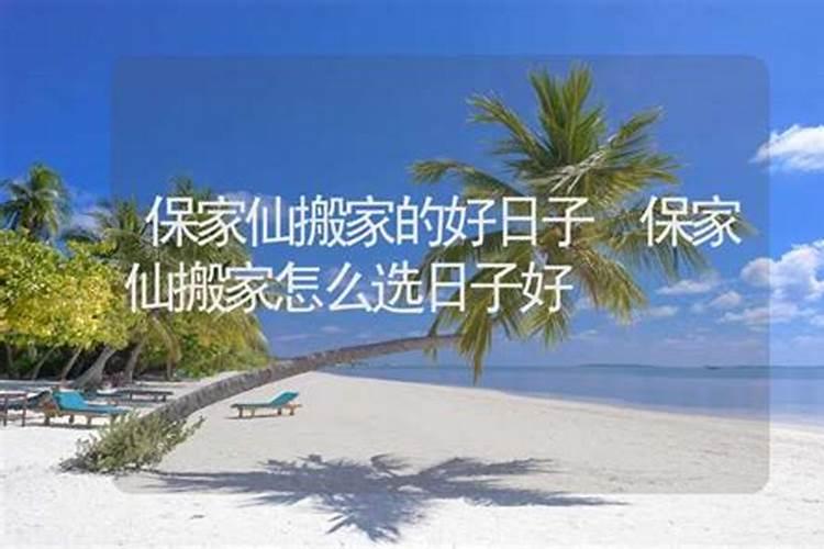 辛金怕身弱吗