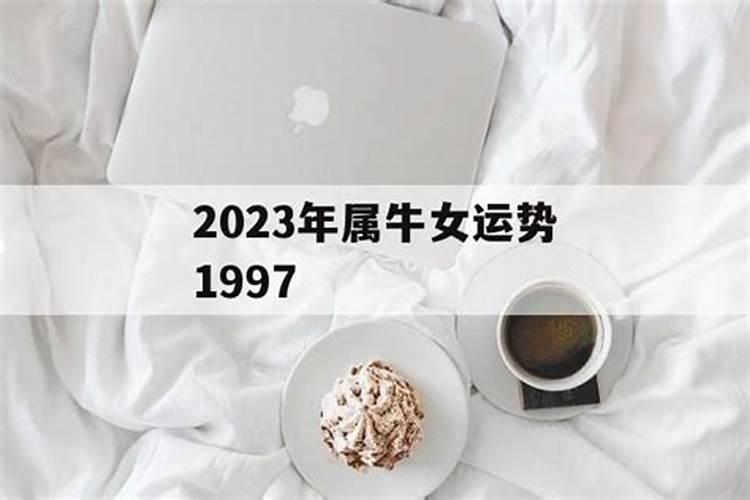 75年4月的兔2024年运势如何