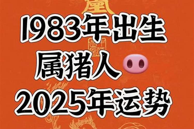 苏民峰鼠2024年运势