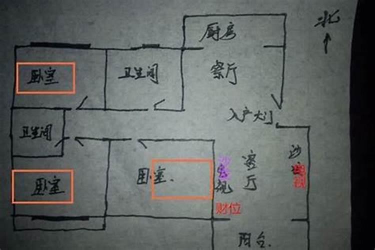 1981年属鸡正月初七女人的命运如何