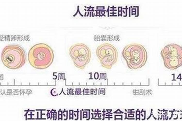 男的属虎女的属兔婚姻怎么样