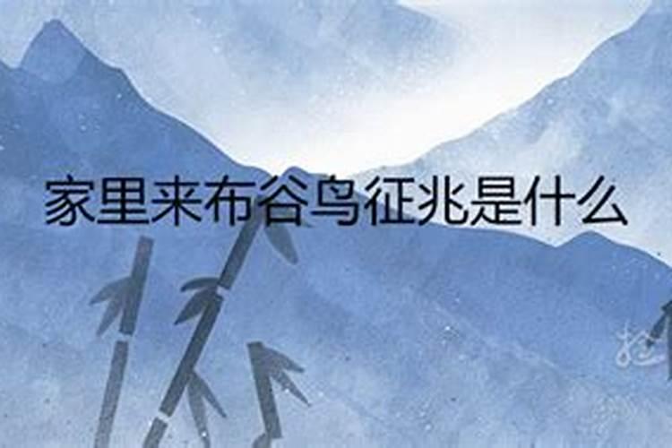 梦见老公出车祸受伤了,是什么意思呀