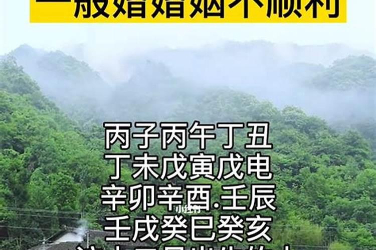 属相婚配大全1994年属狗的最佳配偶