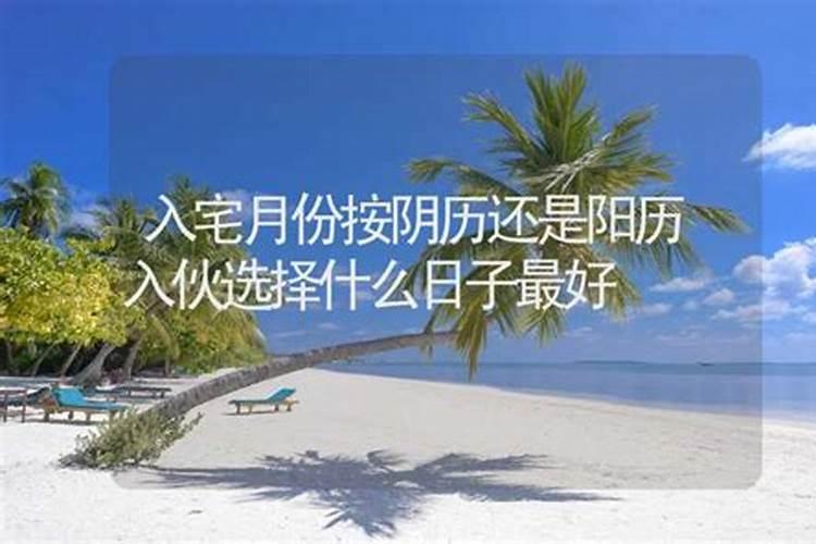 属牛与属狗的八字合不合婚