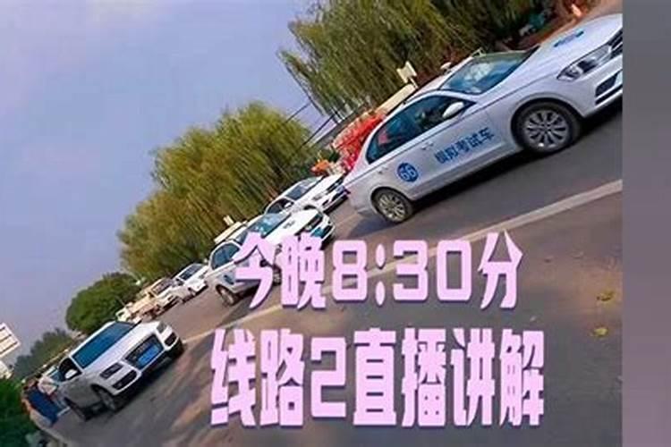 女人梦见一匹白马走过来什么意思