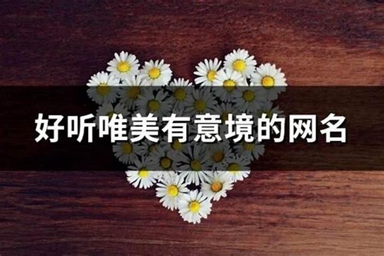 属猪和什么生肖不合适