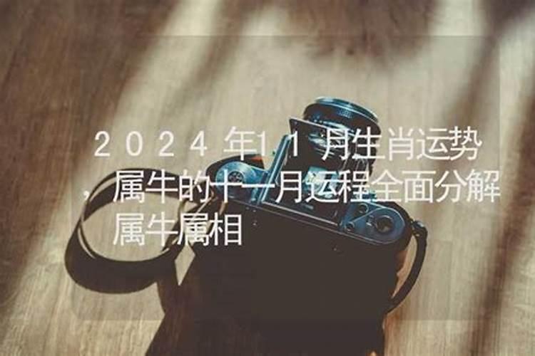 2024年犯太岁的人怎么躲星