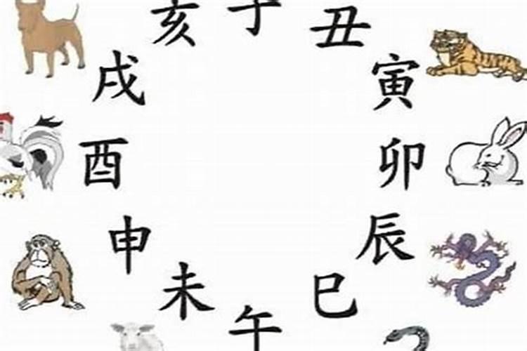 八字中的夫妻星是什么