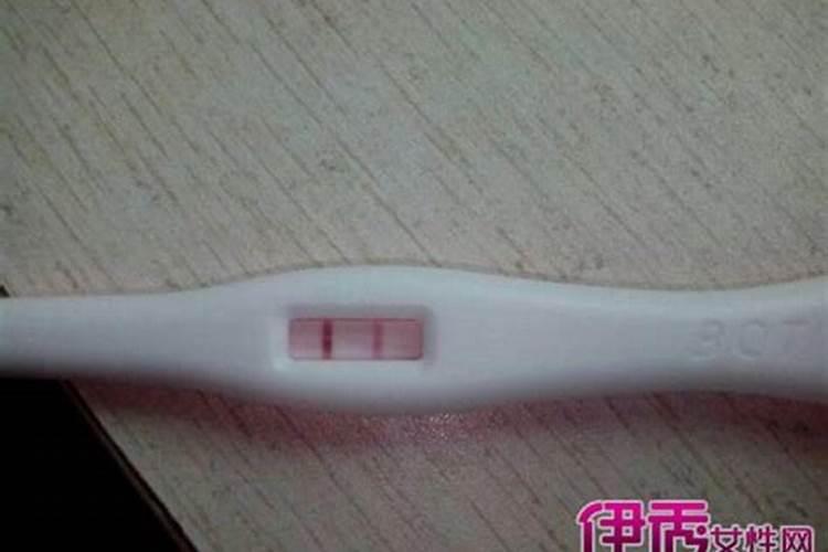 梦见好多老鼠还踩死一只