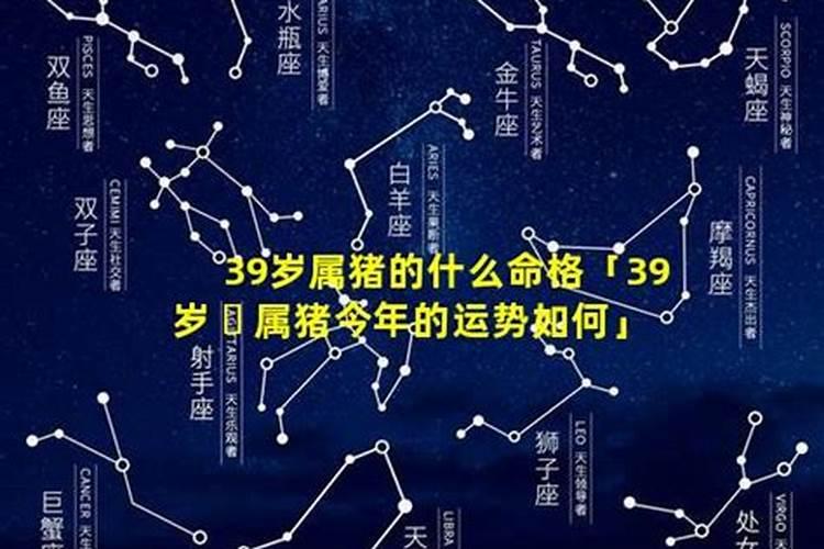 属鼠人2023年6月份运势如何呢