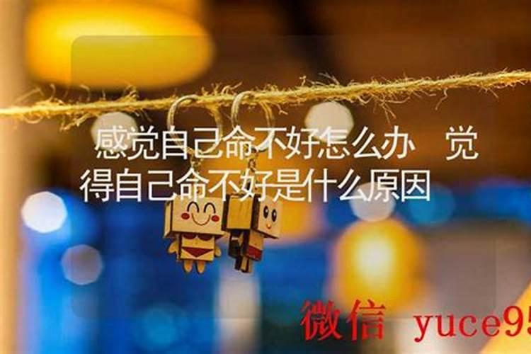 属蛇9月份运势怎么样2020年