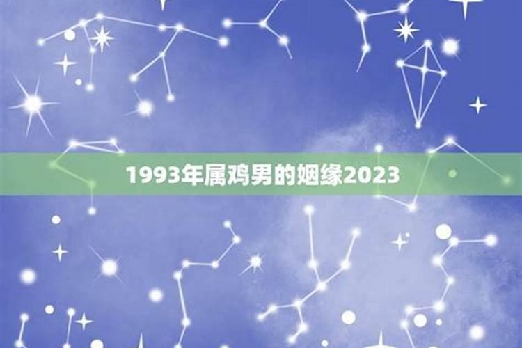 十二生肖在2024年运势如何