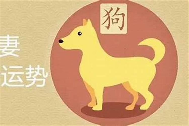 八字算命狗和猪