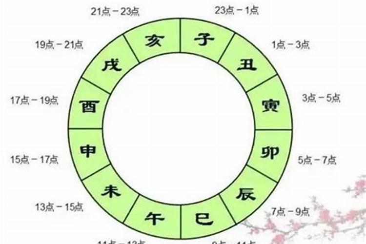 属兔2022年运势完整版1987