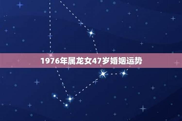 1976人全年运势如何看