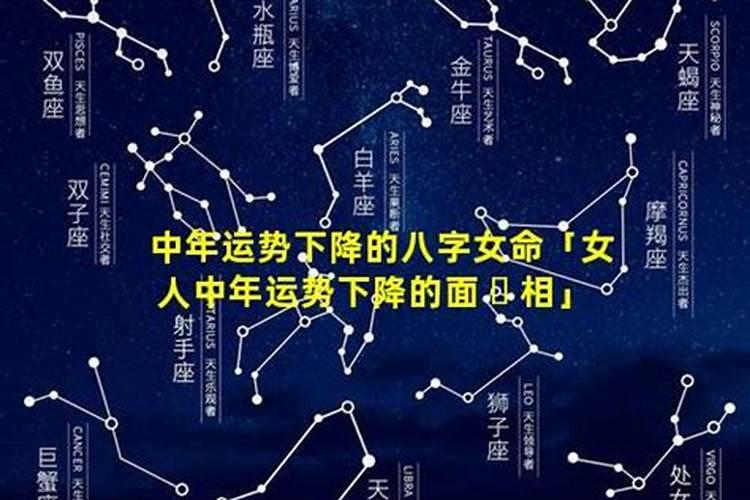 12月份什么生肖运势最好