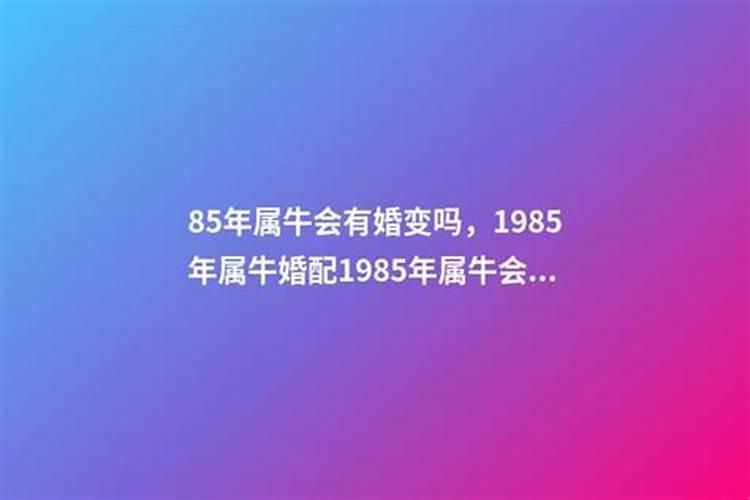 85年属牛会离婚吗