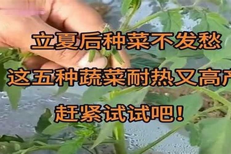 八字命理准不准确怎么看出来