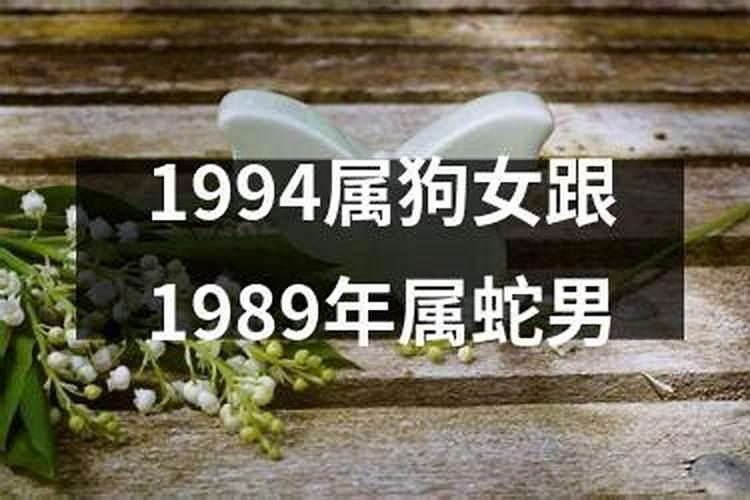 2023年龙人全年运势如何