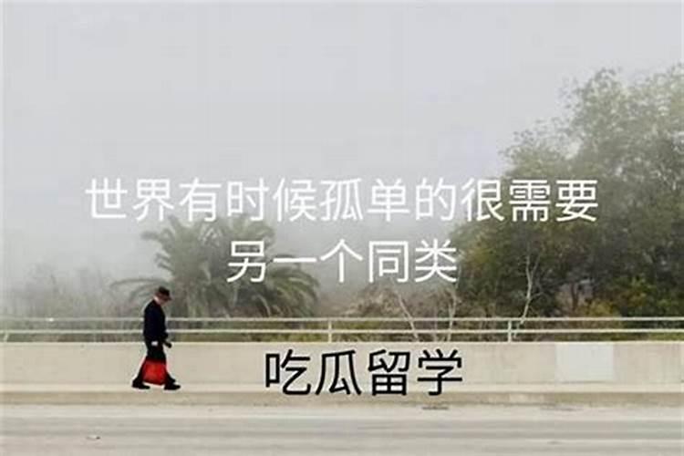 嘉兴春节民俗活动