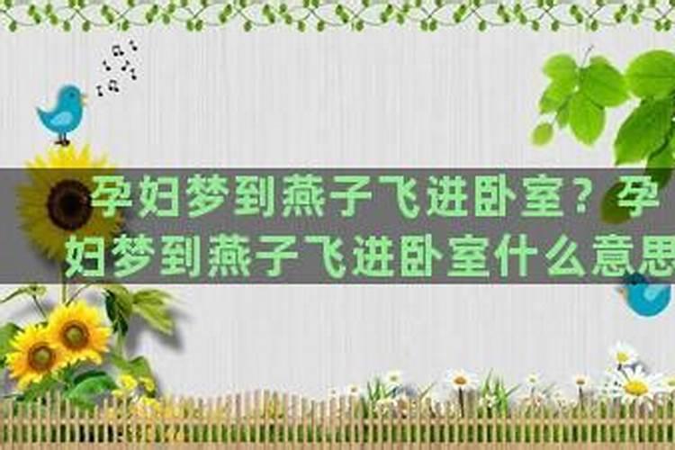 梦见兔子生小兔是什么意思周公解梦