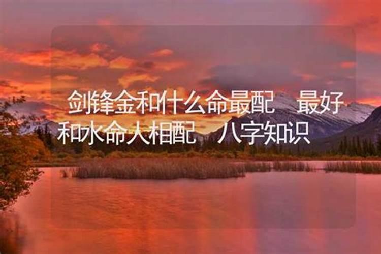 梦见别人家的桔子树结满果实好不好