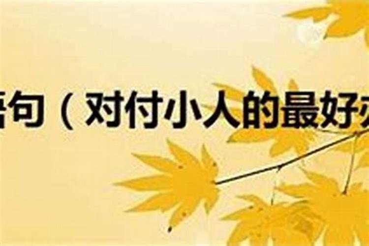 属猪牛年运势2021运势详解