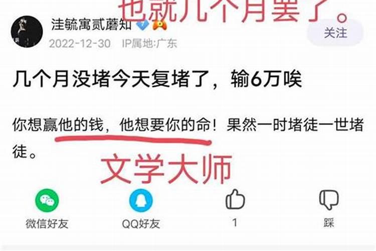 2023属相月份运势及运程查询