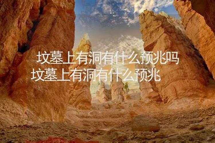 阳历11月23日是什么星座