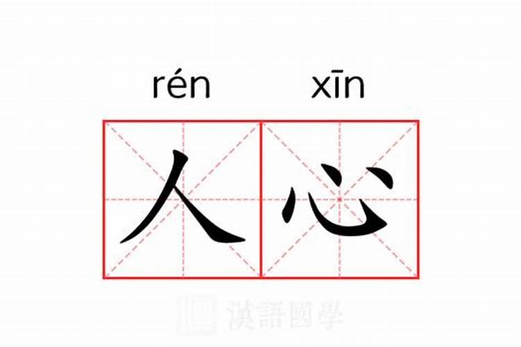 梦到蟒蛇是什么数字