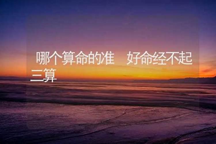 梦见狗睡在床上好不好