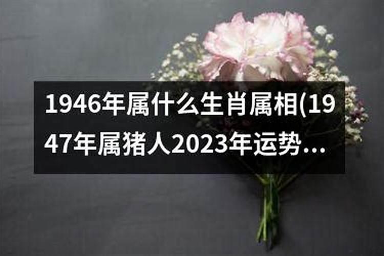 2023年值年太岁星君