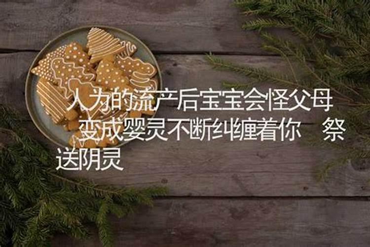 虎年犯太岁家里适合放些什么植物和花