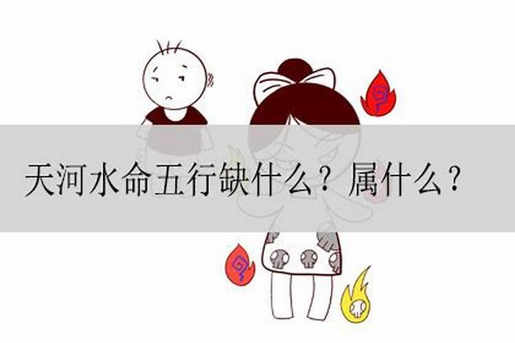 梦见特大乌龟是什么意思啊周公解梦