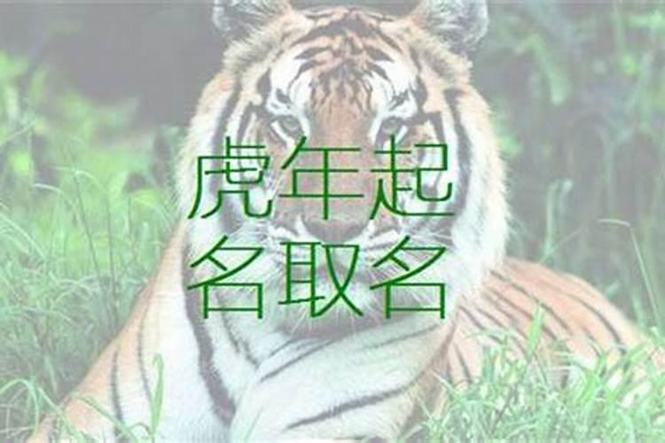 梦见老鼠咬自己屁股是什么意思