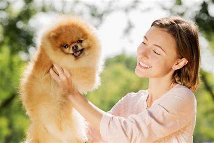 同一生肖的人都犯太岁吗女