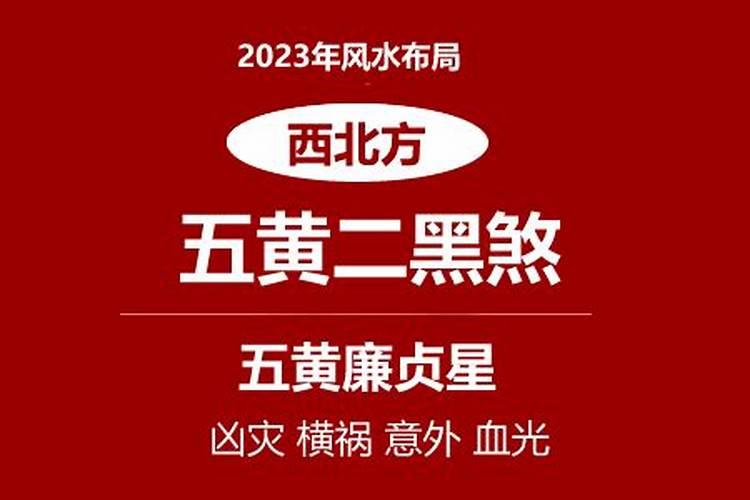 属蛇今年运势13年运程