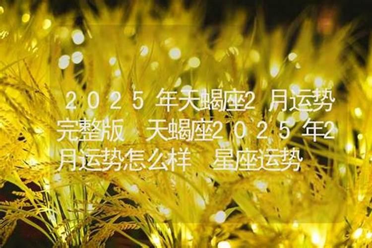 属兔的今年运势怎么样2022