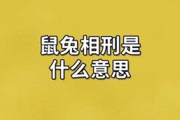 梦见姐姐死了但是还活着啥意思