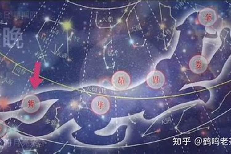 梦见朋友怀孕了预示什么