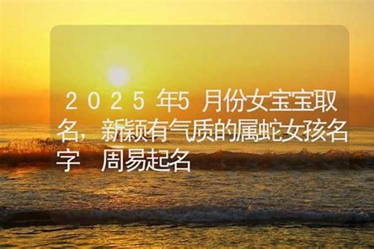 兔年出生的人2023运势及运程