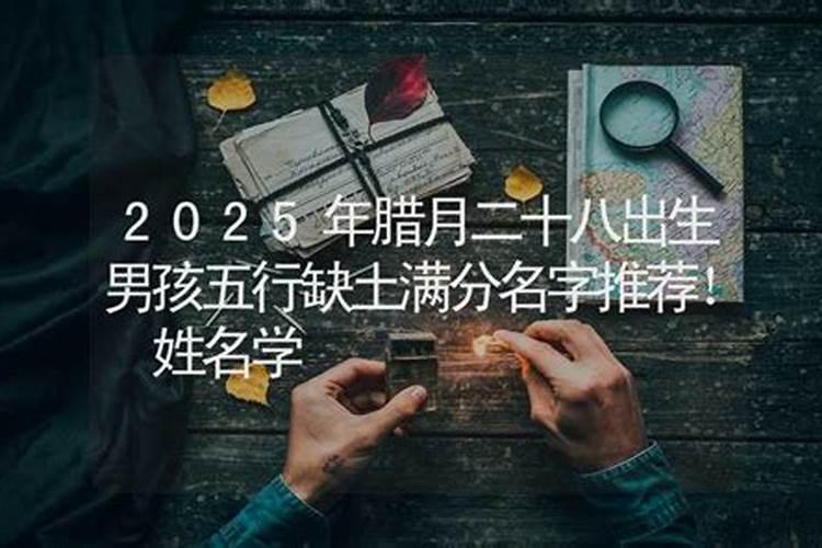 属猴2024年运势猴