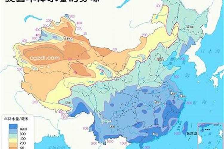 属狗的今年多大1982年出生