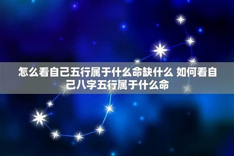 属狗的人2021年多大年龄