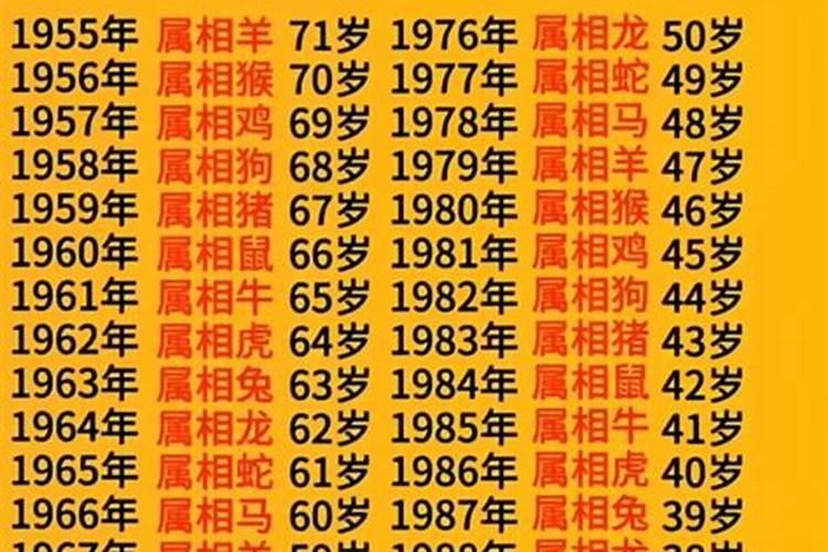 属鸡人明年运势2024年