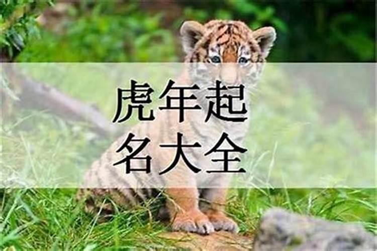 梦见与别人一起骑自行车回家