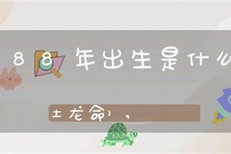 北方财神节供奉什么菜品最好