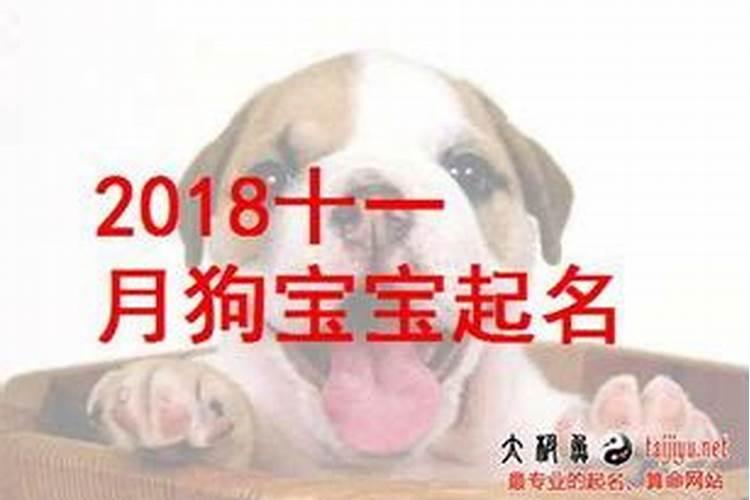 属羊的在2023年运势怎么样