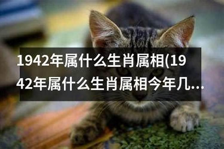 84年的鼠2021年每月运势