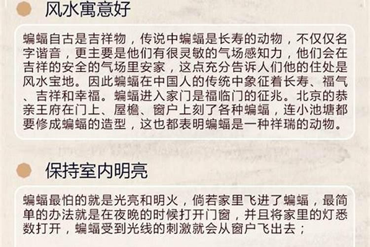 梦到自己老公走丢了什么意思呢